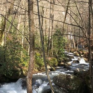 Meet your Posher, Cheryl